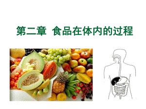 食品营养ppt课件--第二章-食品在体内的过程.ppt