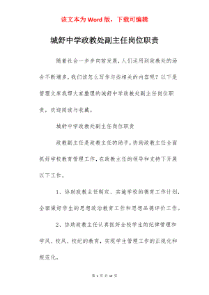 城舒中学政教处副主任岗位职责.docx