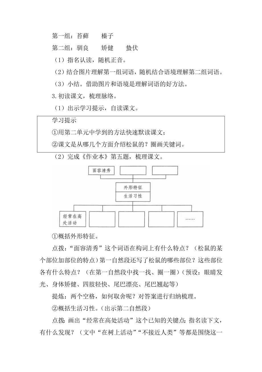 部编五上语文《松鼠》公开课教案教学设计【一等奖】(1).docx_第2页