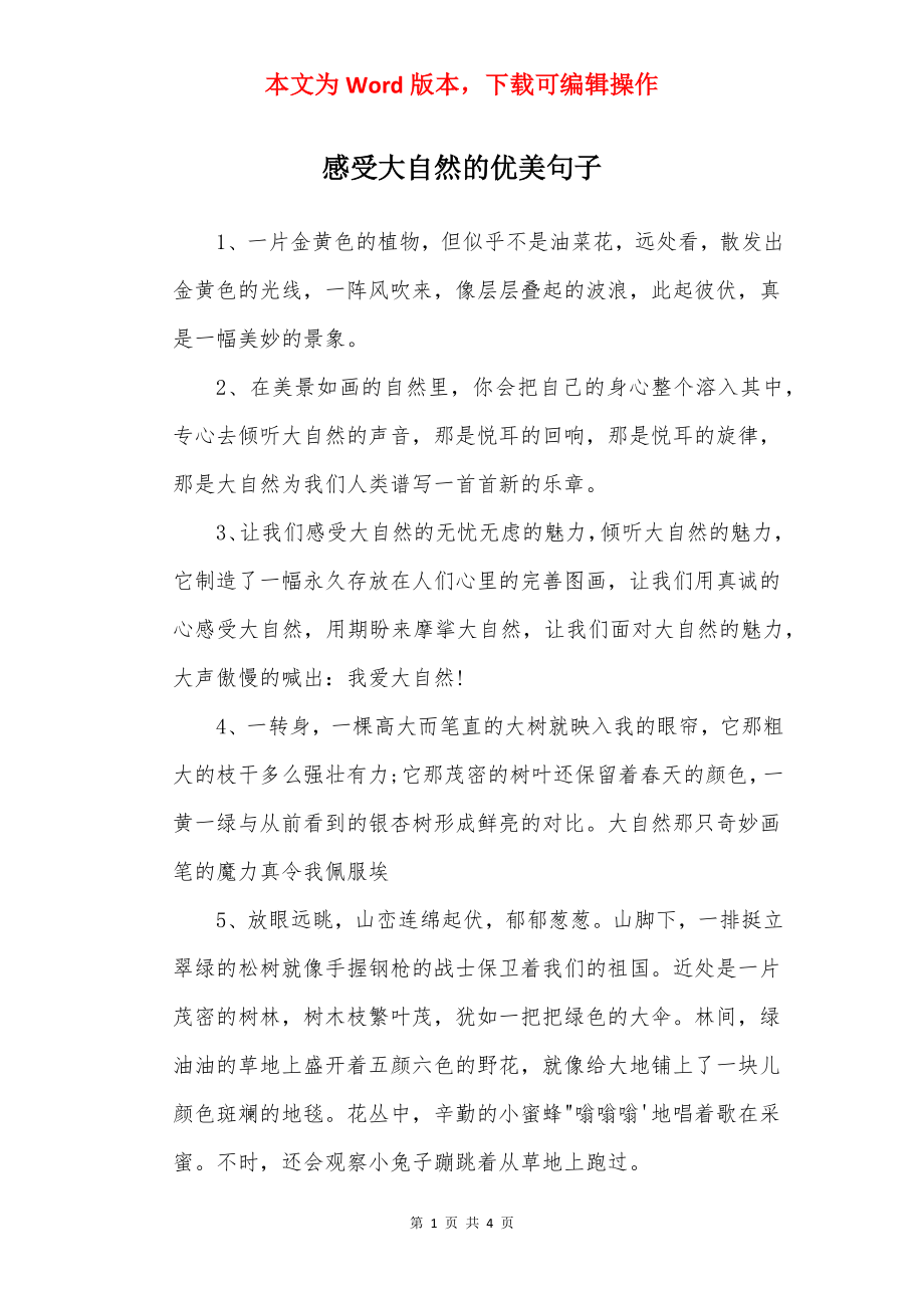 感受大自然的优美句子.docx_第1页