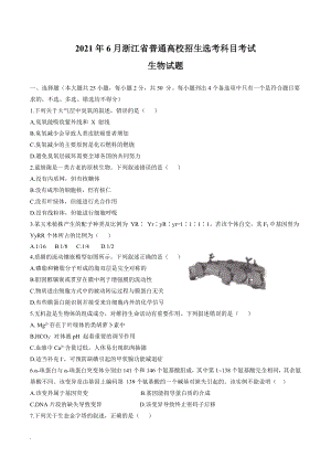 2021年6月浙江生物高考选考真题文档版（含答案）.doc