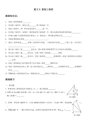 初中数学九年级春季补充教案 直角三角形复习 复习5 直角三角形(学生).docx