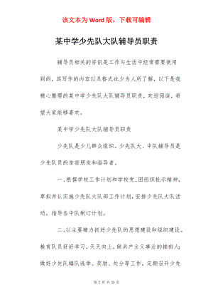 某中学少先队大队辅导员职责.docx