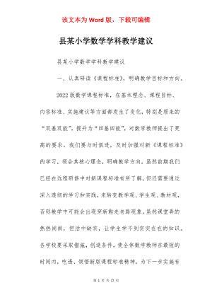 县某小学数学学科教学建议.docx