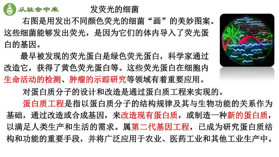 3.4蛋白质工程的原理和应用课件--高二下学期生物人教版选择性必修3.pptx_第2页