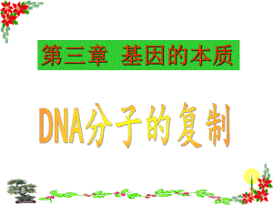 DNA分子的复制动画ppt课件.ppt