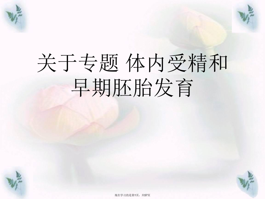 专题 体内受精和早期胚胎发育.ppt_第1页