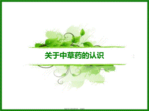 中草药的认识.ppt