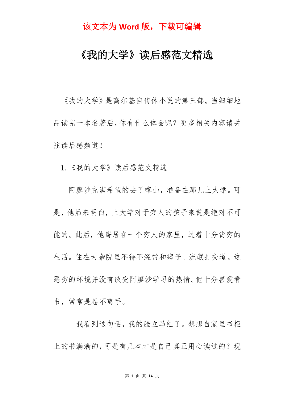 《我的大学》读后感范文精选.docx_第1页