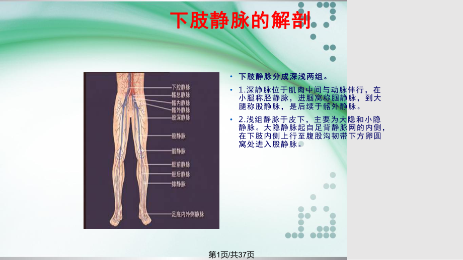 下肢深静脉血栓的护理..pptx_第1页