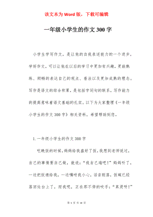 一年级小学生的作文300字.docx