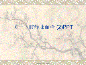 下肢静脉血栓 (2)ppt.ppt