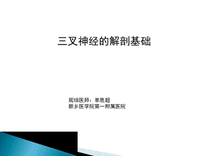 三叉神经的解剖基础ppt课件.pptx