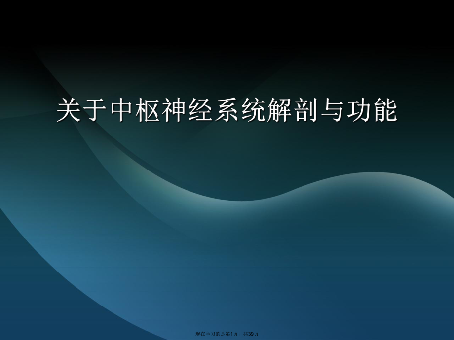 中枢神经系统解剖与功能.ppt_第1页