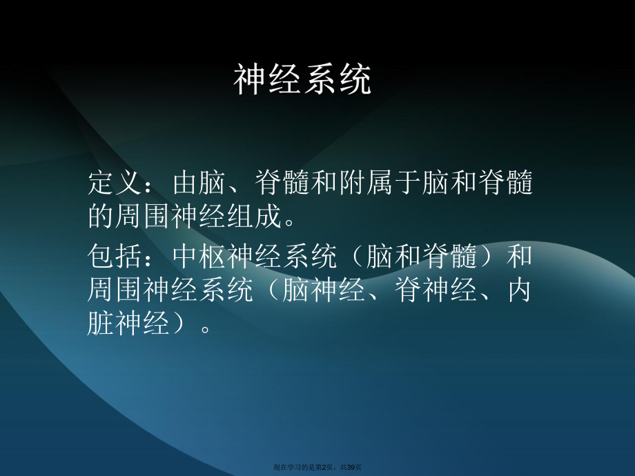 中枢神经系统解剖与功能.ppt_第2页