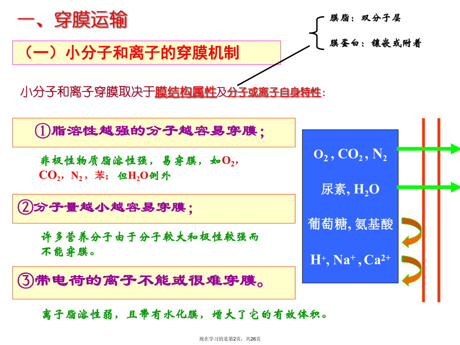 之细胞膜的物质运输.ppt_第2页