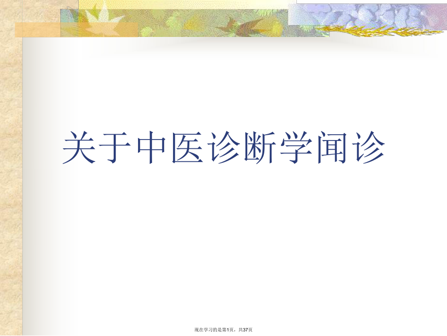 中医诊断学闻诊.ppt_第1页