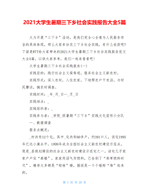 2021大学生暑期三下乡社会实践报告大全5篇.doc