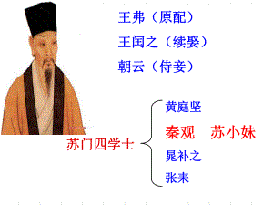 上课：踏莎行(秦观)ppt课件.ppt