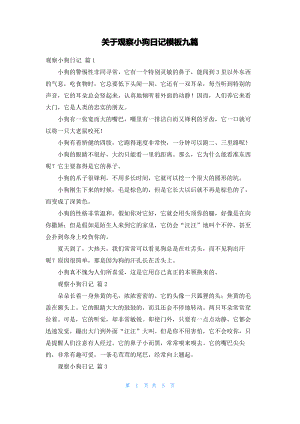 关于观察小狗日记模板九篇.pdf