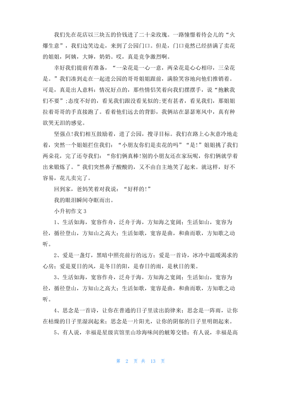 小升初作文(合集15篇).pdf_第2页