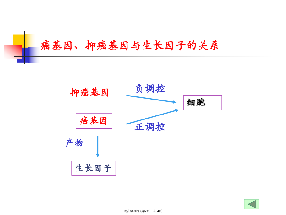 专题篇癌基因抑癌基因与生长因子.ppt_第2页