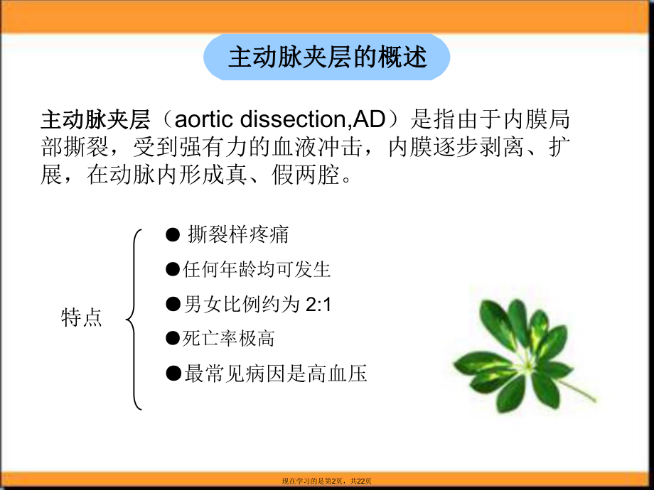 主动脉夹层的观察与护理.ppt_第2页