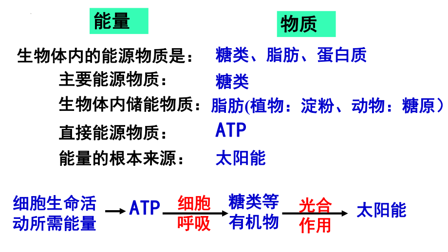 高三一轮复习生物：细胞的能量“货币”ATP课件.pptx_第2页