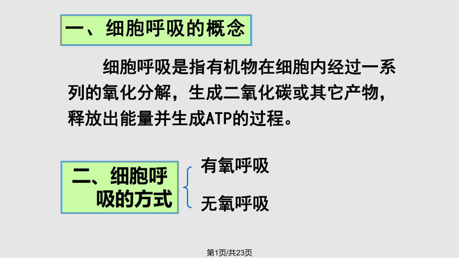 五ATP的主要来源细胞呼吸.pptx_第1页