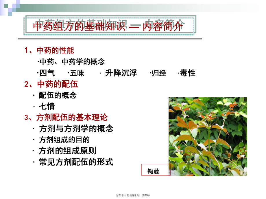 中药组方的基础知识.ppt_第2页