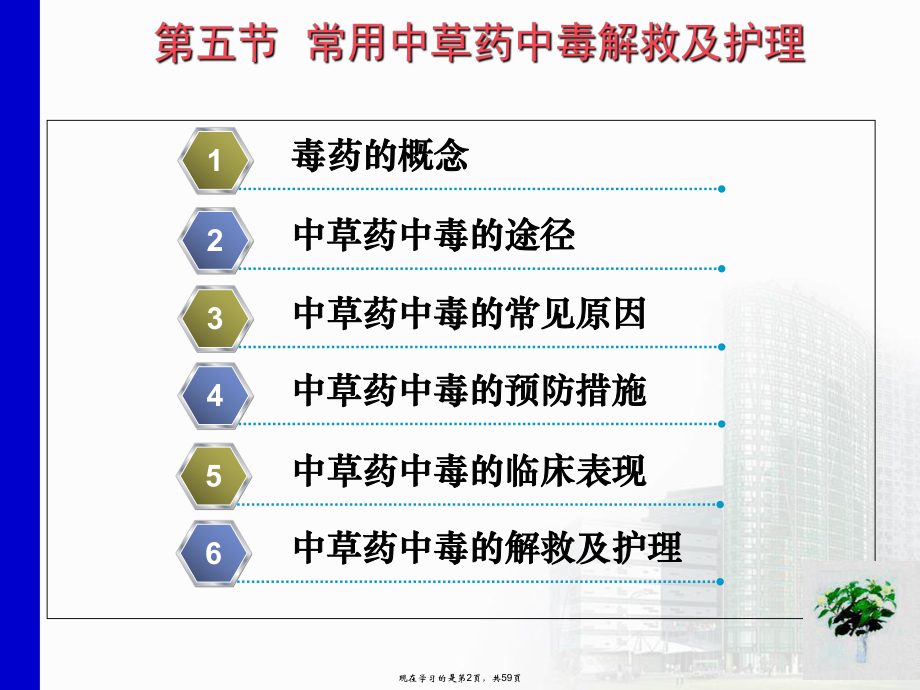 中药用药护理ppt.ppt_第2页