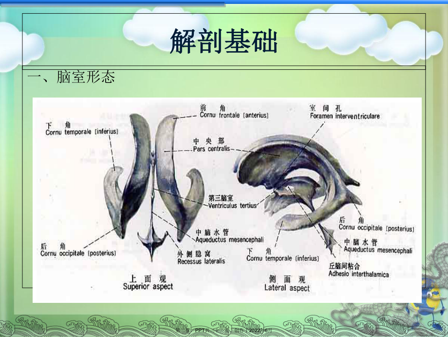 侧脑室穿刺术及脑脊液引流 (2).ppt_第2页