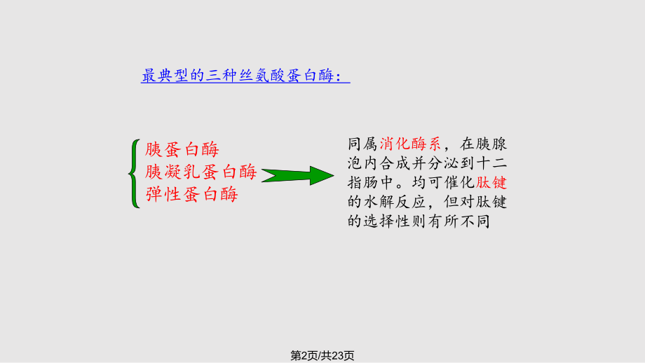 丝氨酸蛋白酶水解机制.pptx_第2页