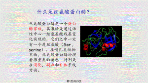 丝氨酸蛋白酶水解机制.pptx