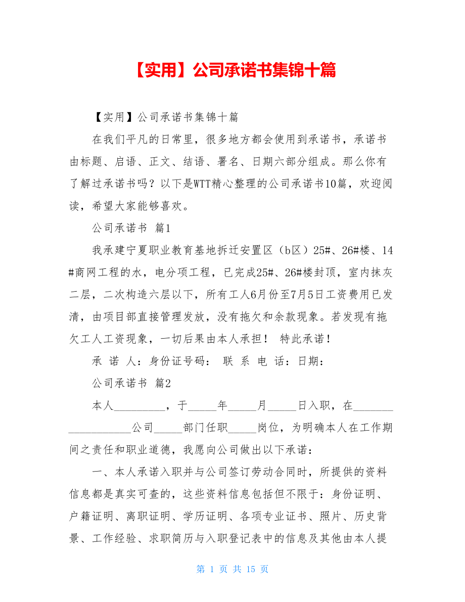 2021年公司承诺书集锦十篇.doc_第1页