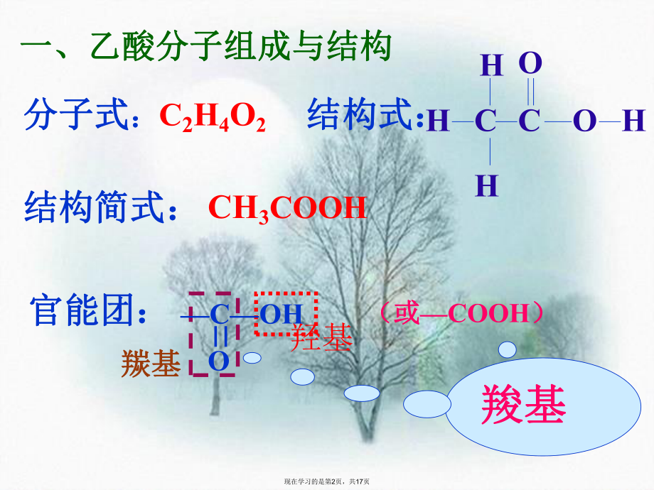 乙酸分子组成与结构.ppt_第2页