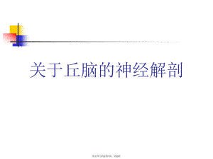 丘脑的神经解剖.ppt