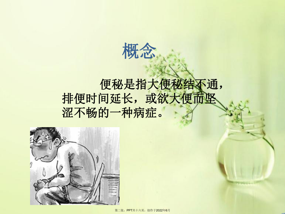 便秘的用药选择.ppt_第2页