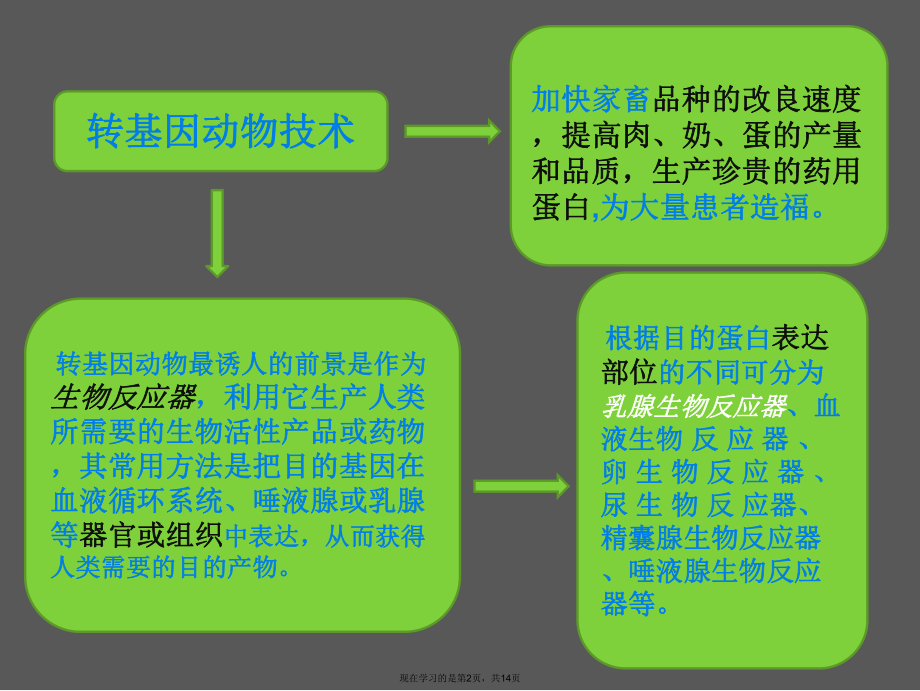 乳腺生物反应器.ppt_第2页