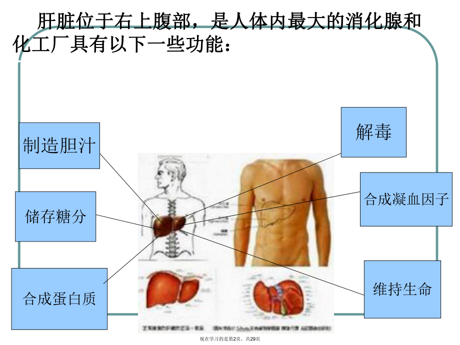 乙肝健康宣传.ppt_第2页