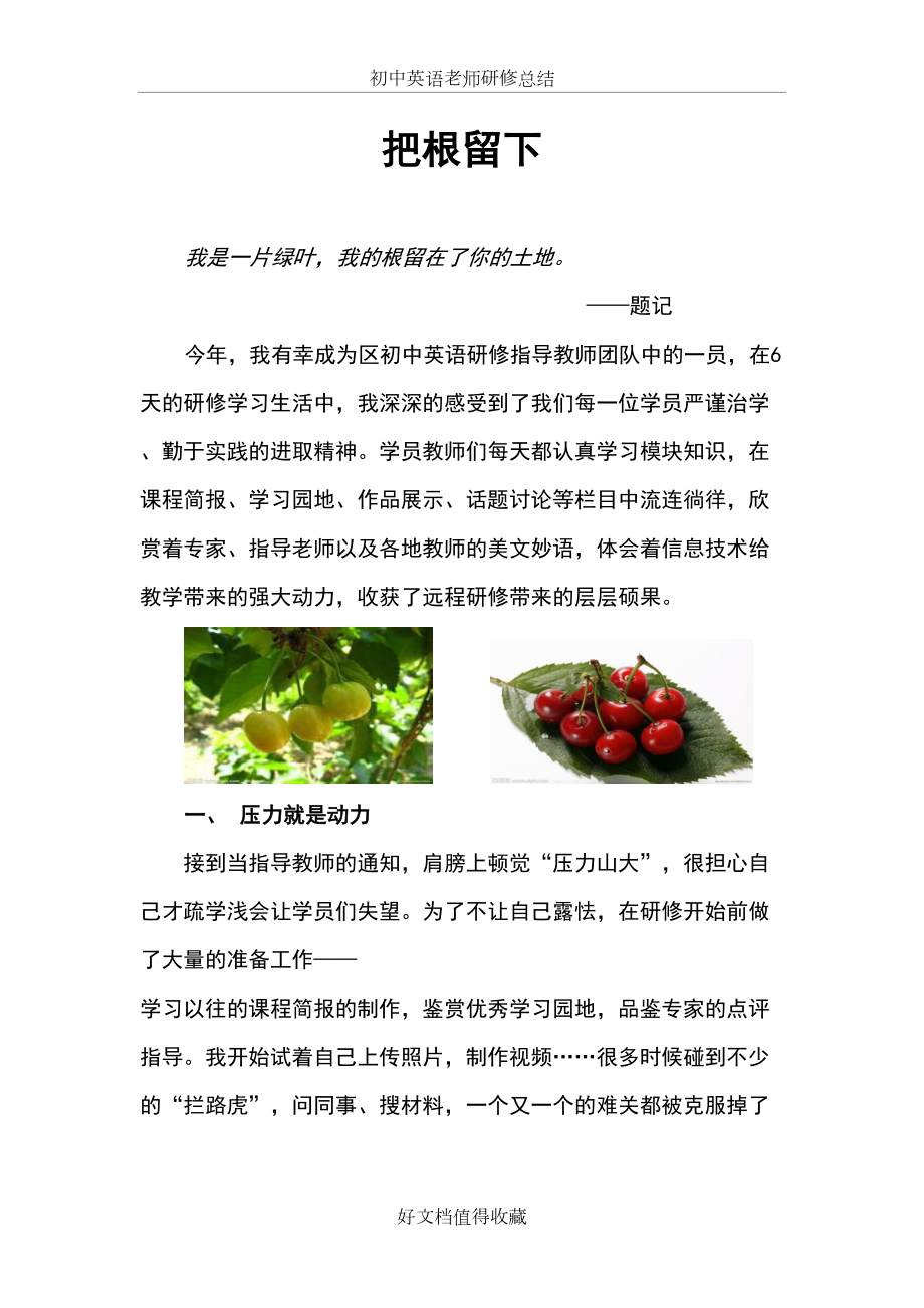 初中英语老师研修总结.doc_第2页