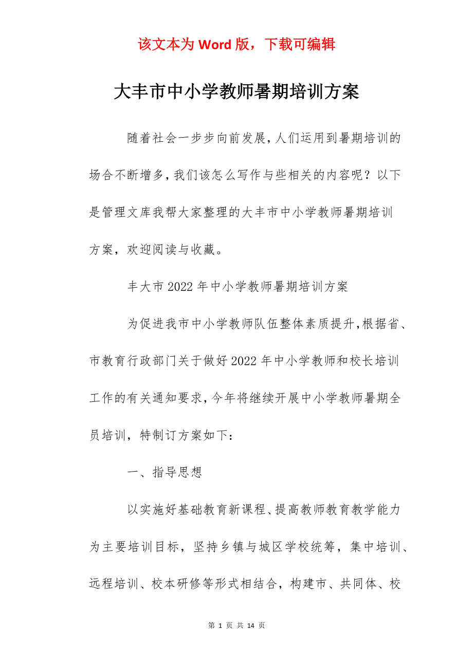 大丰市中小学教师暑期培训方案.docx_第1页