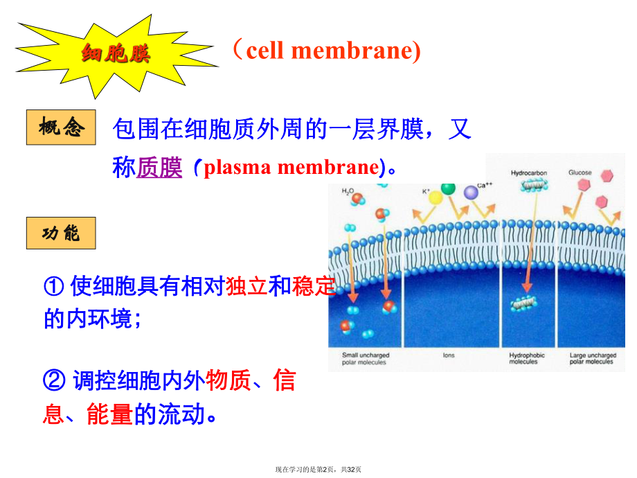 之细胞膜的分子结构和特性.ppt_第2页