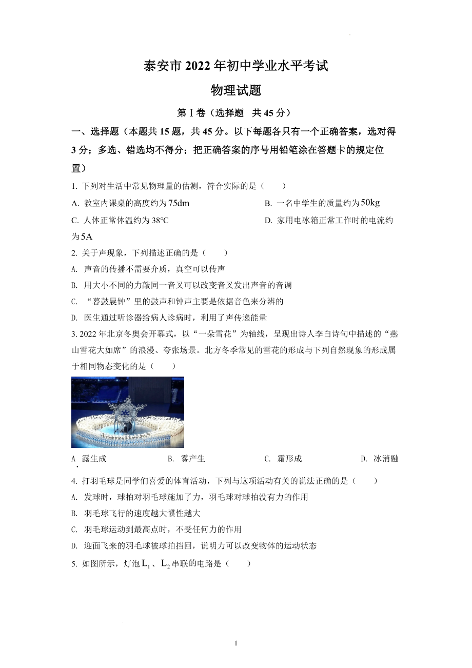 2022年山东省泰安市中考物理真题.docx_第1页