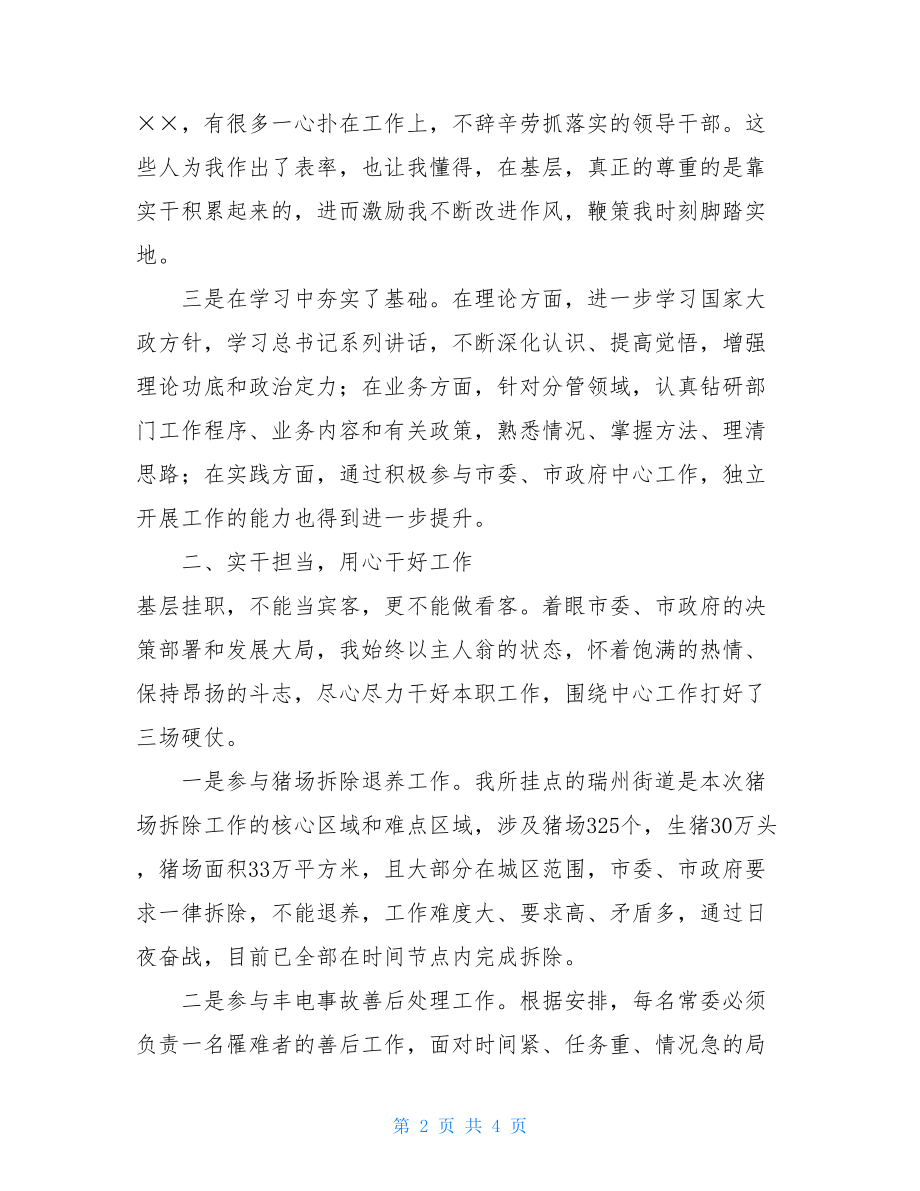 挂职锻炼总结发言材料-挂职锻炼工作总结.doc_第2页