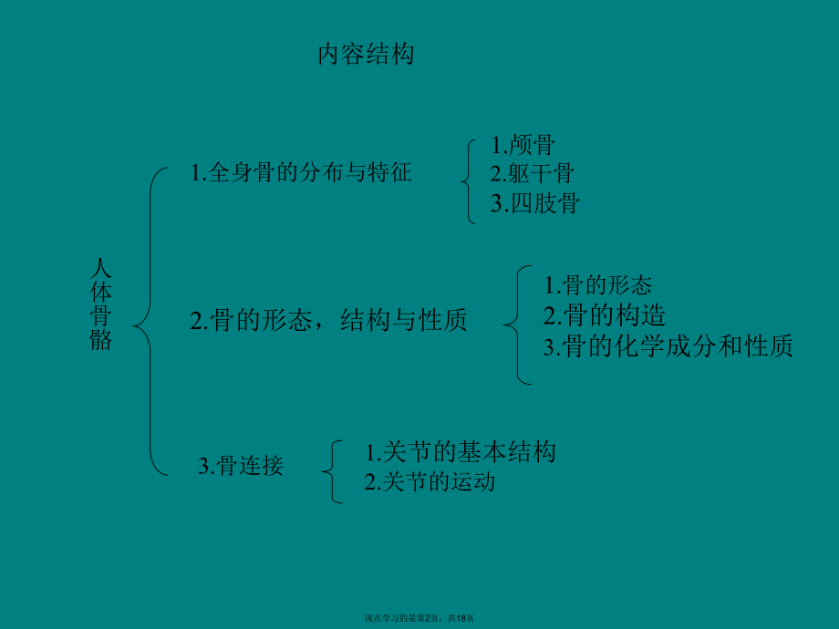 人体骨骼构成图解ppt.ppt_第2页