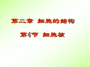 细胞核-ppt课件.ppt