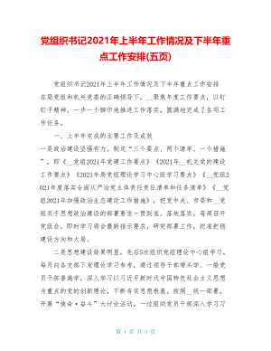 党组织书记2021年上半年工作情况及下半年重点工作安排(五页).doc