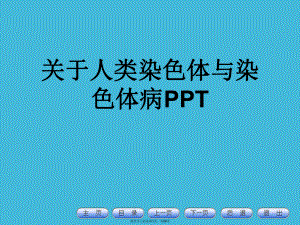 人类染色体与染色体病ppt.ppt