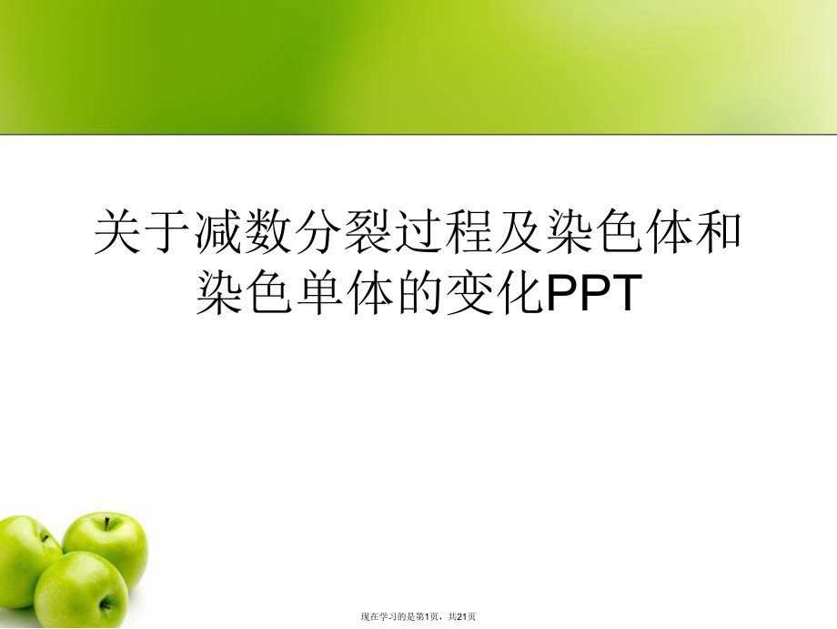 减数分裂过程及染色体和染色单体的变化ppt.ppt_第1页